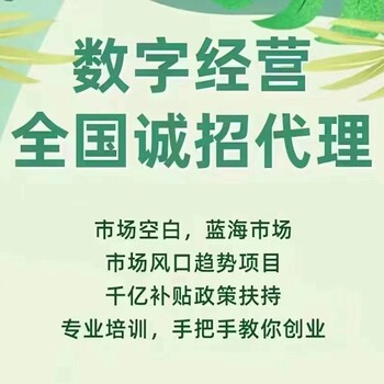 支付宝数字转型智慧经营3.0招募城市代理商